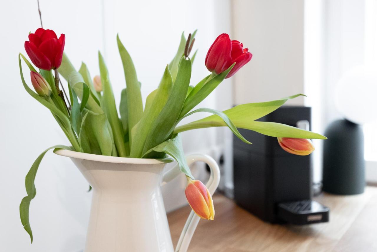 Chic 1-bed By Canal Walk To Historic Centre Wien